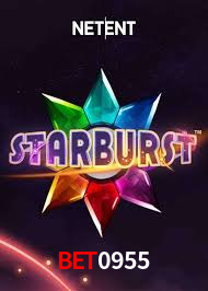 Programa VIP bet0955